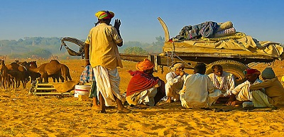 Service Provider of 11 Nights 12 Days Rajasthan Village & Wildlife Photography Tour in New Delhi, Delhi, India.