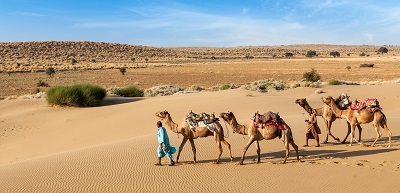 Service Provider of Taj Mahal With Rajasthan Tour in New Delhi, Delhi, India.